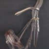 Anatomische Trense Solaris (braun/gold) – Bild 5